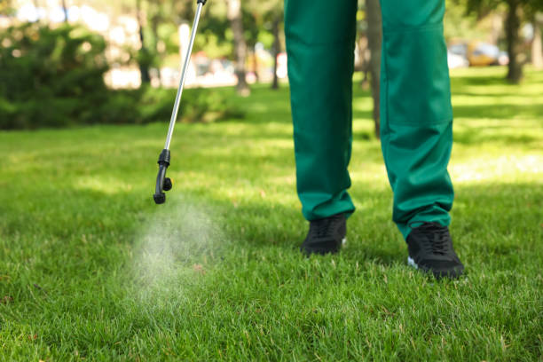 Pest Prevention Services in Holland, TX