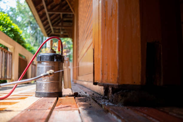 Best Termite Control Services  in Holland, TX