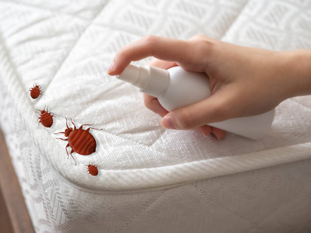 Reliable Holland, TX Pest Control Solutions